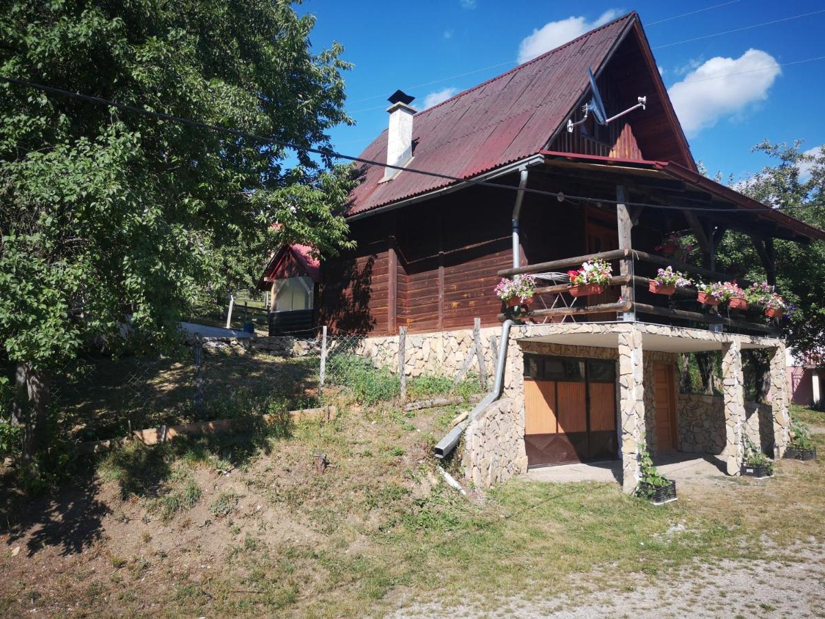 Апартаменты Vikendica Kod Brice Jevtici Экстерьер фото